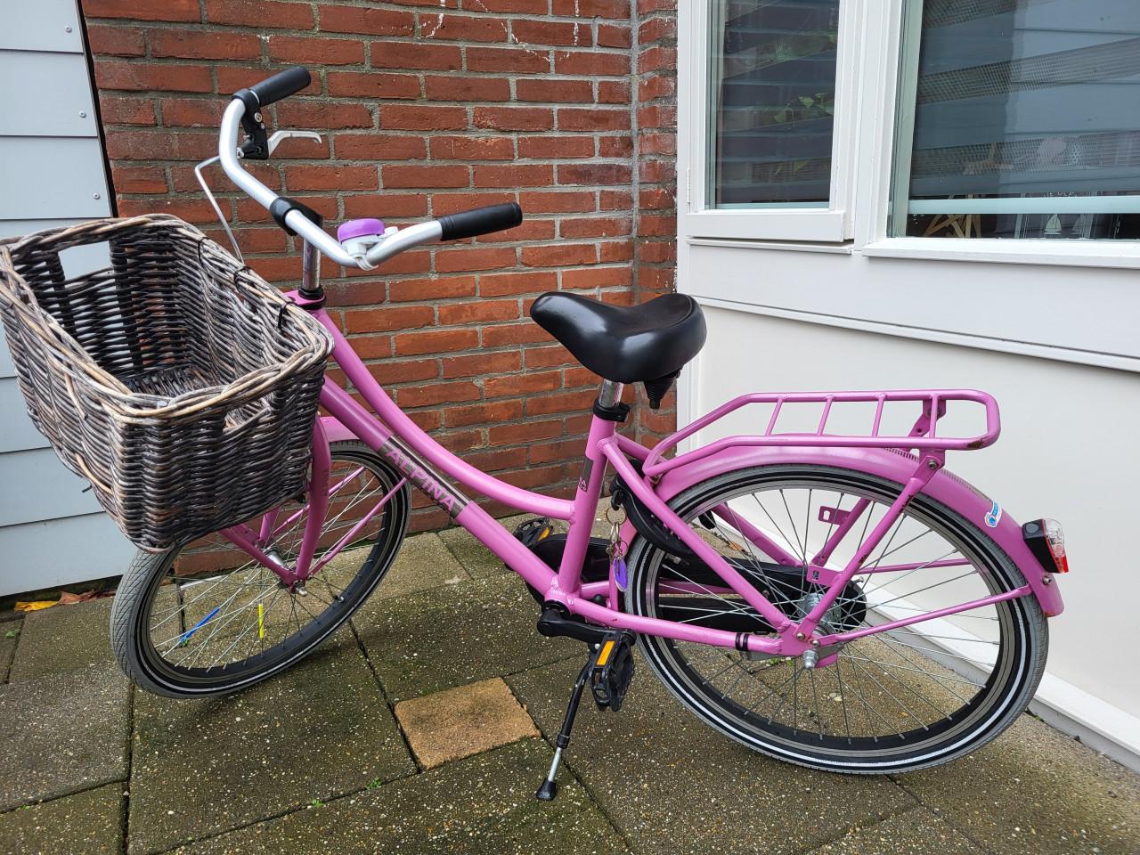 Alpine Meisjesfiets 24 inch