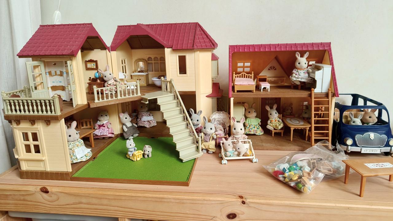 Grote set Sylvanian Families
