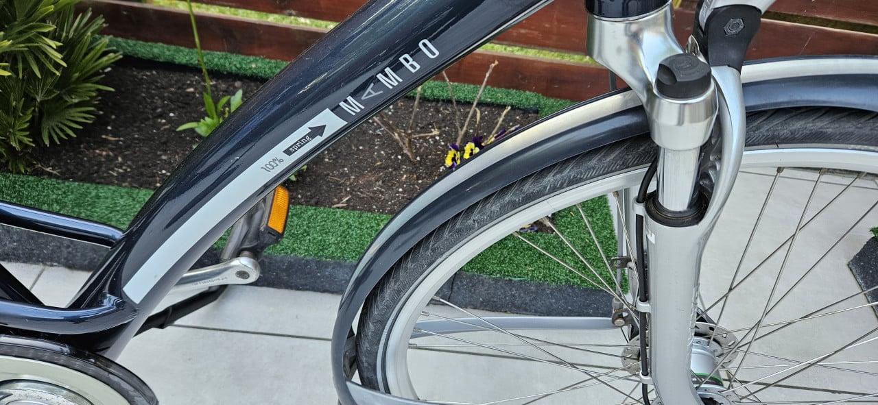 Batavus herenfiets Limited Edition