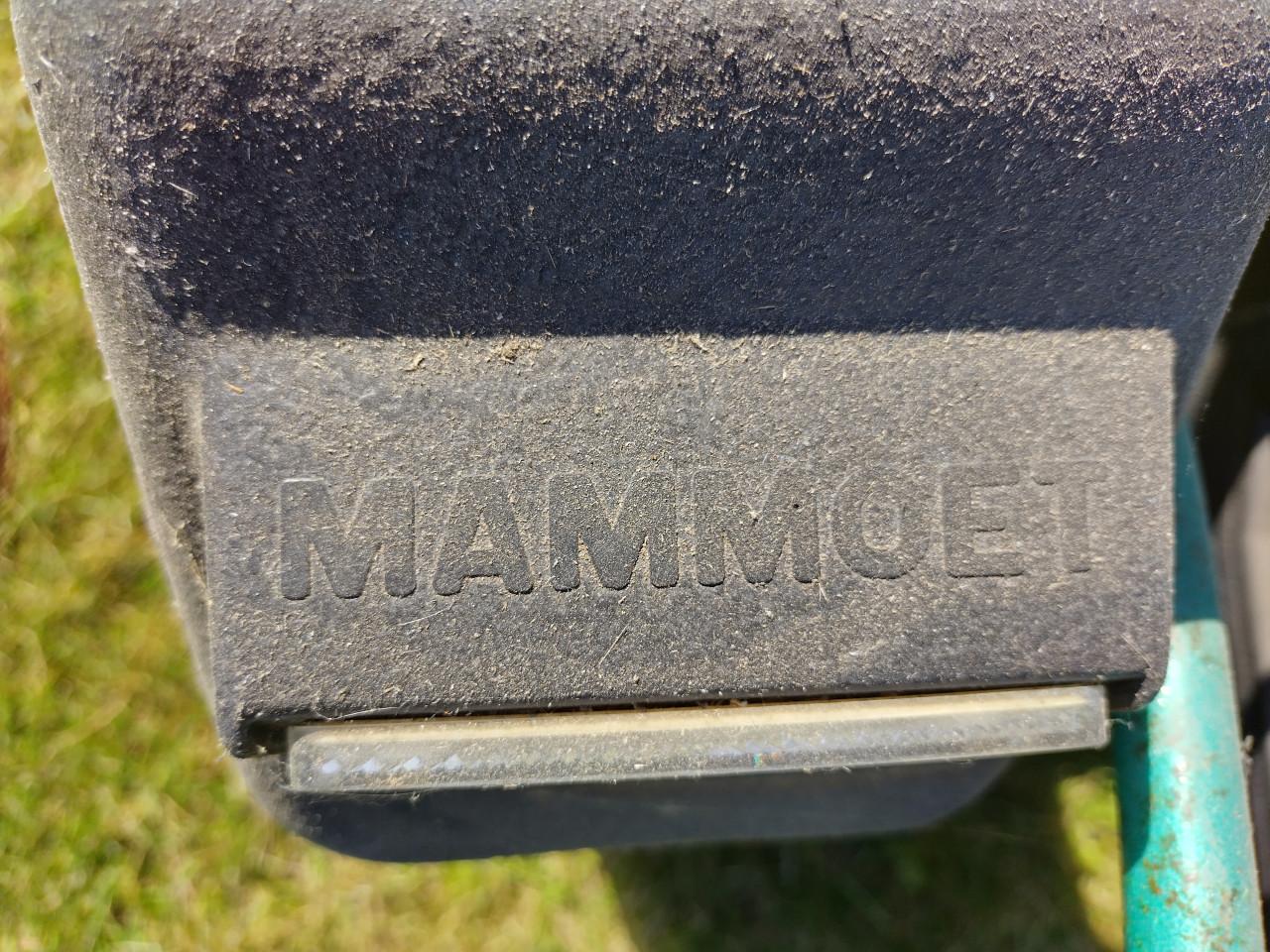Mammoet skelter
