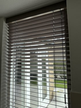 Luxaflex Wood Blinds Houten Jaloezie 50mm