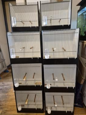 Universele TT kooien €8,- p/st en transporthoezen €4,- p/st