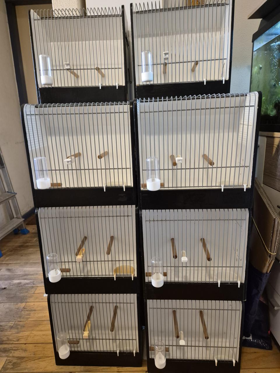 Universele TT kooien €8,- p/st en transporthoezen €4,- p/st