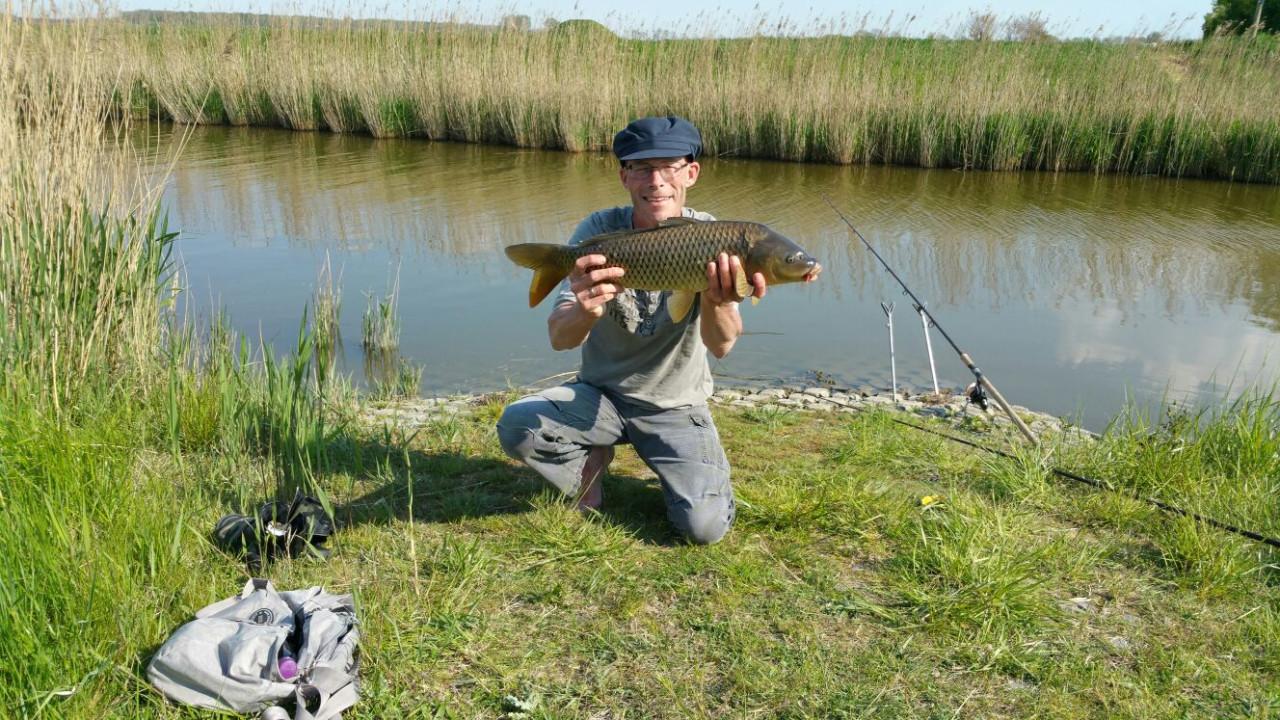 Hengelsport in de polder bij Karpervisserij Koudekerke €17,50 visvergunning