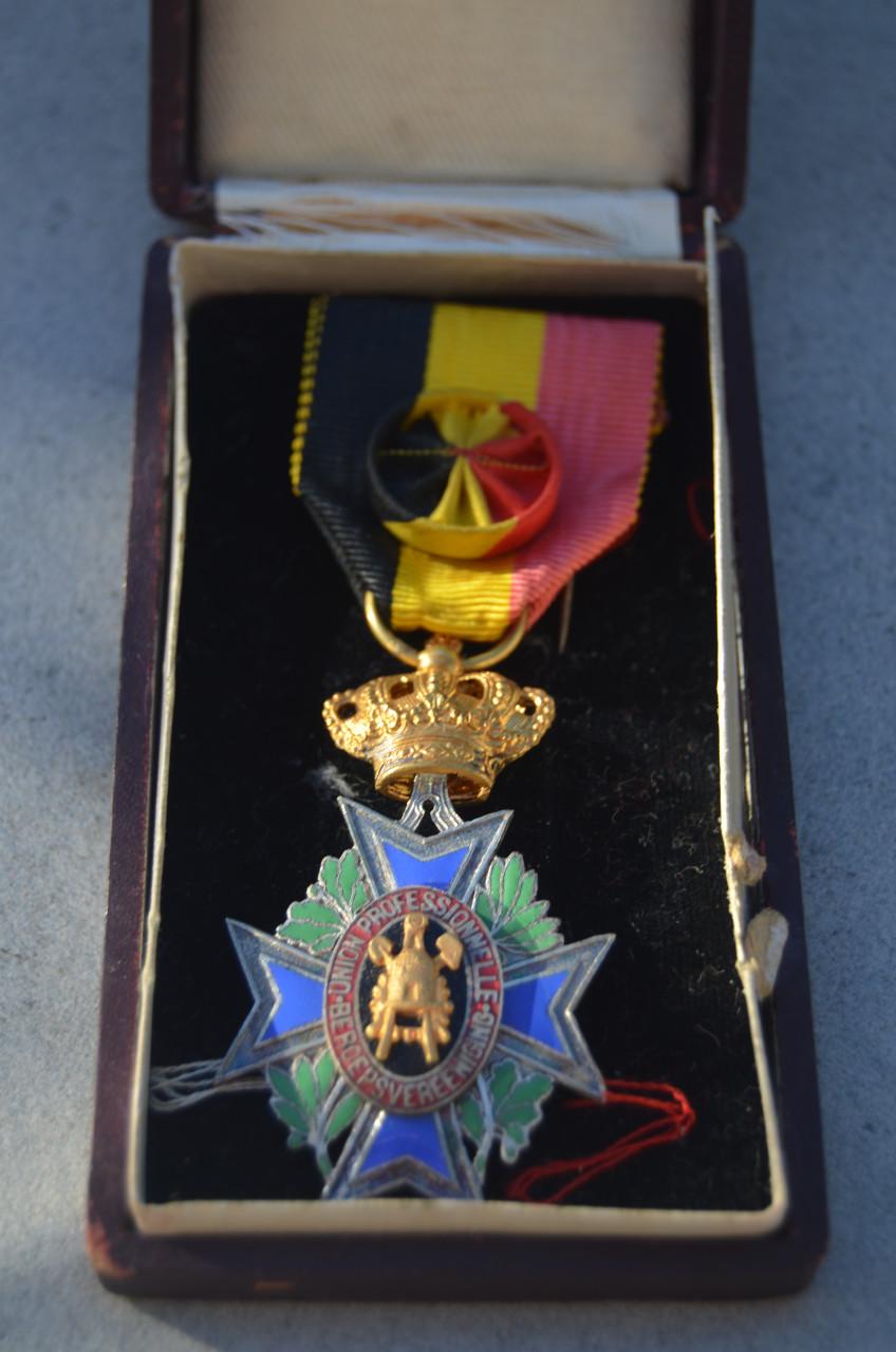 Belgisch bijzonder ereteken beroepsverenigingen medaille