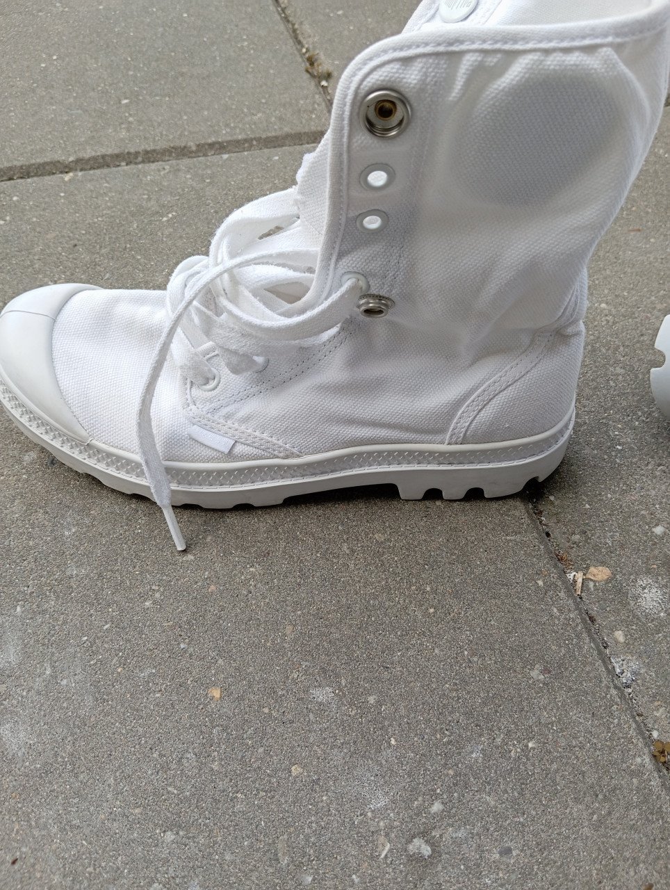 Palladium Baggy Wit 37