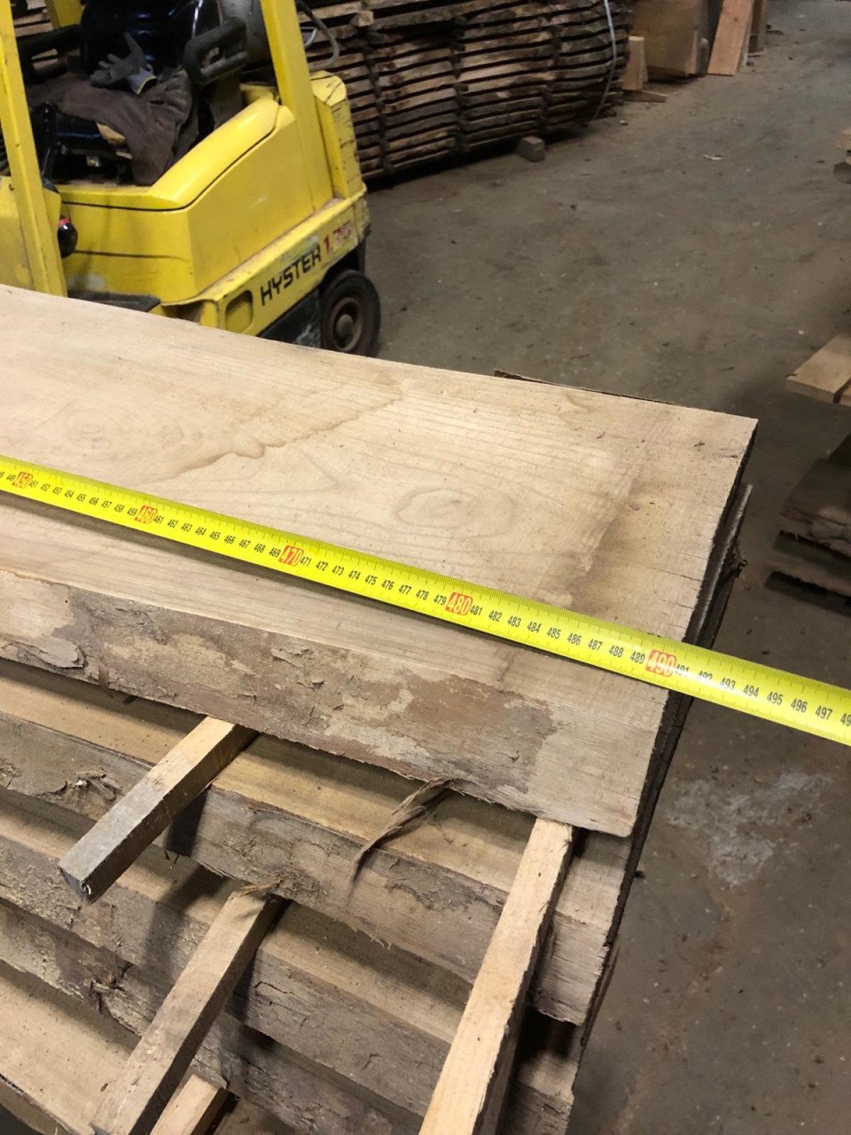 Zeeuwse Iep / Olm stam, hout voor meubels en interieur