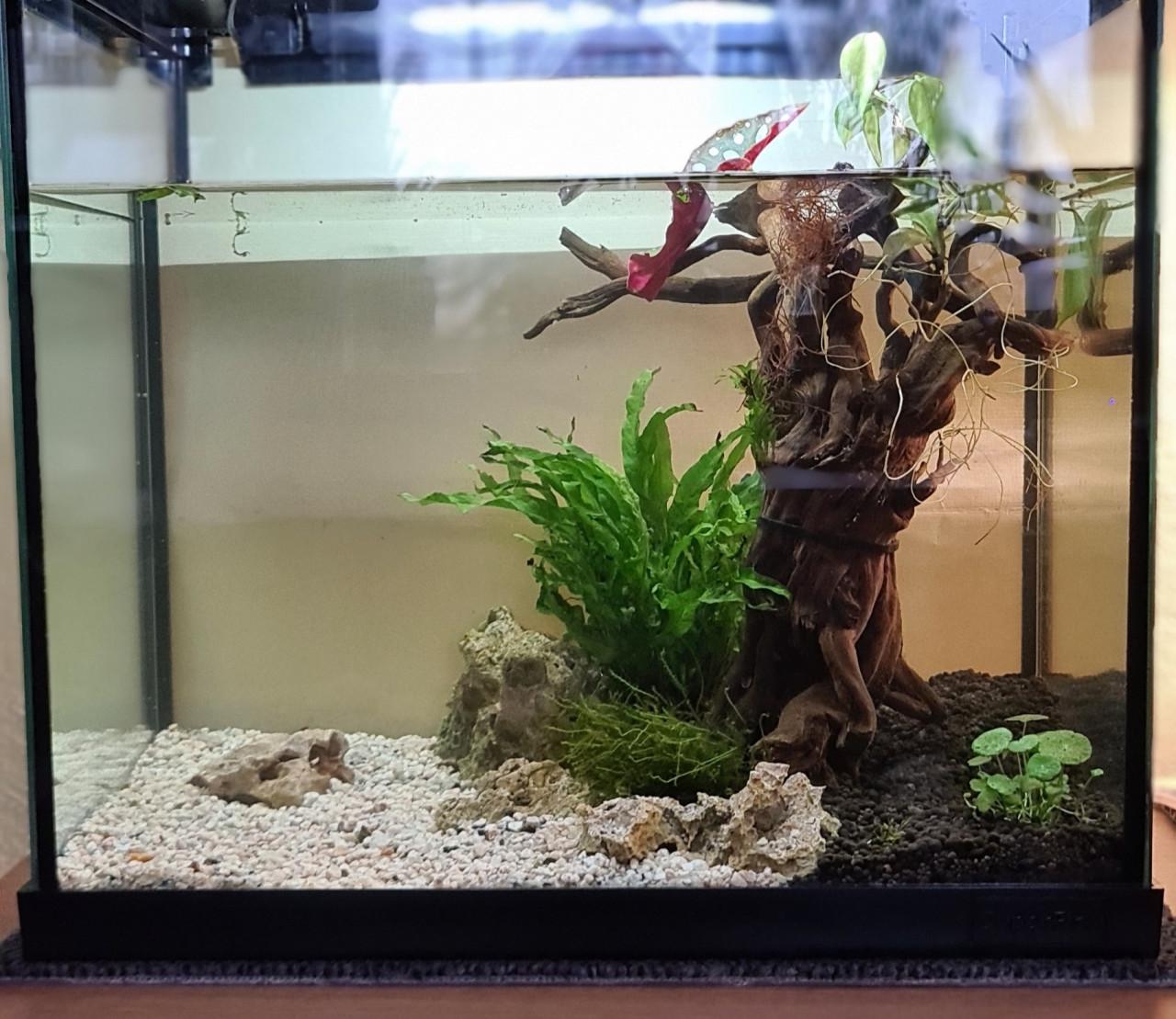 Aquarium 40 x 40, 28cm. diep