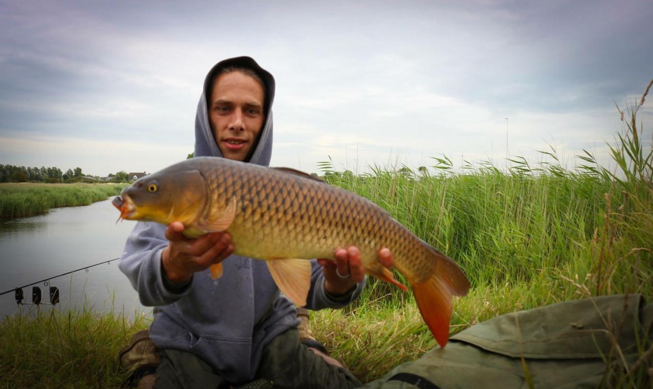 Hengelsport in het karpergebied bij karpervisserij Koudekerke € 17,50