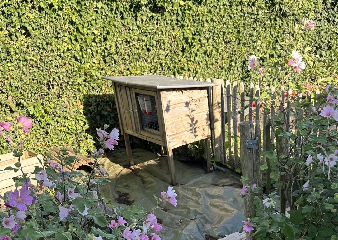 🐰 Leuk houten konijnenhok met zinken dak €85