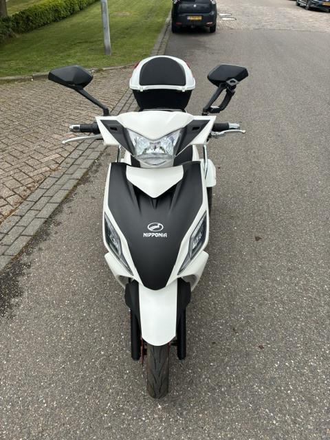 GEEN RIJBEWIJS ? NIET NODIG MET DEZE STOERE NIPPONIA PRIDE !