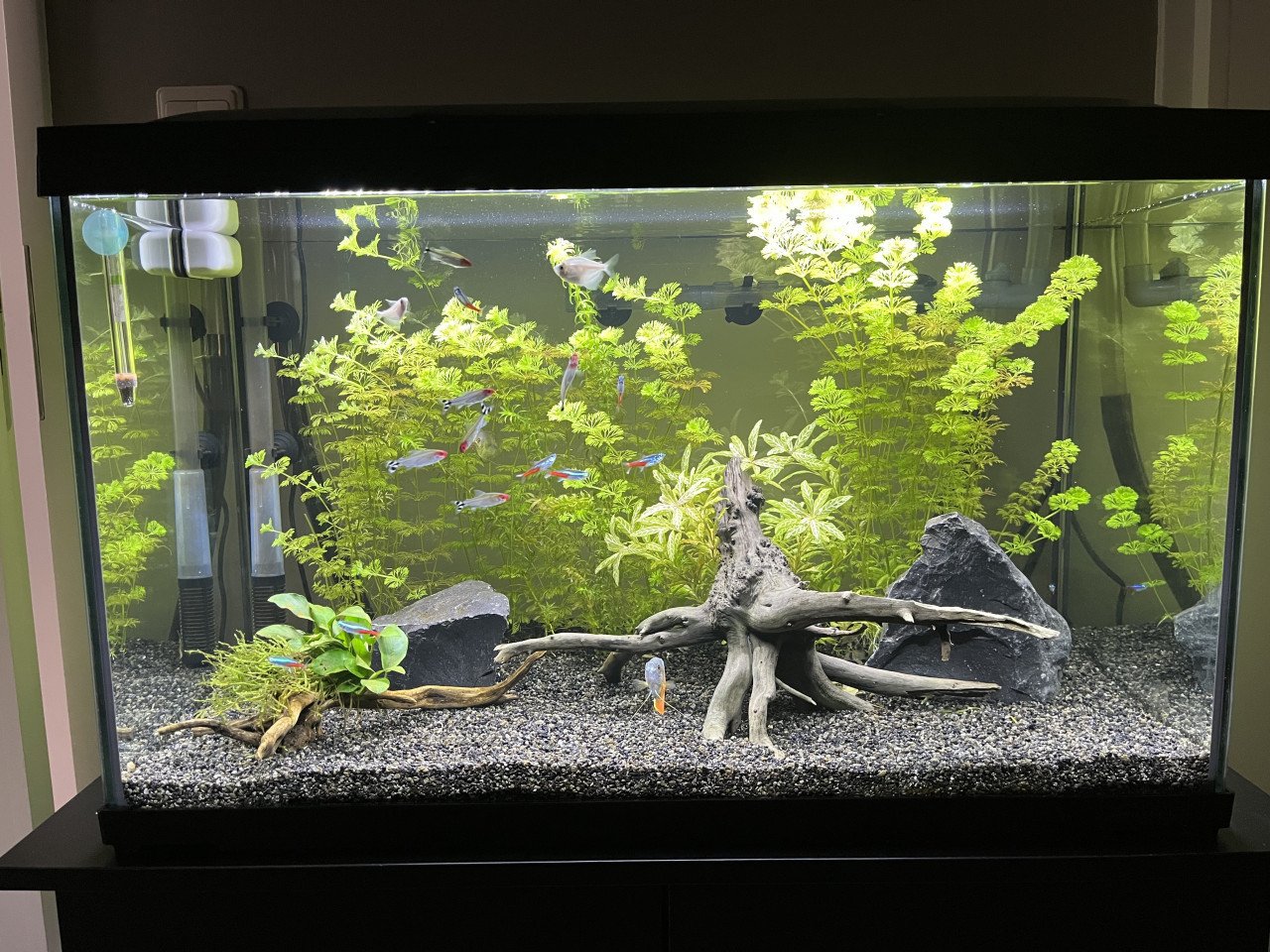Aquarium incl. toebehoren