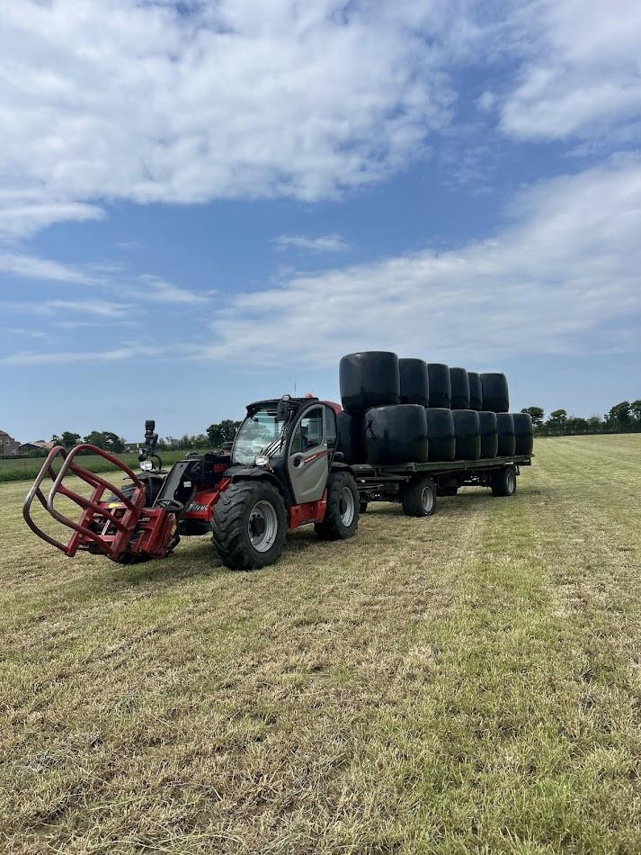 Te koop gevraagd, gras op stam en tarwe stro.