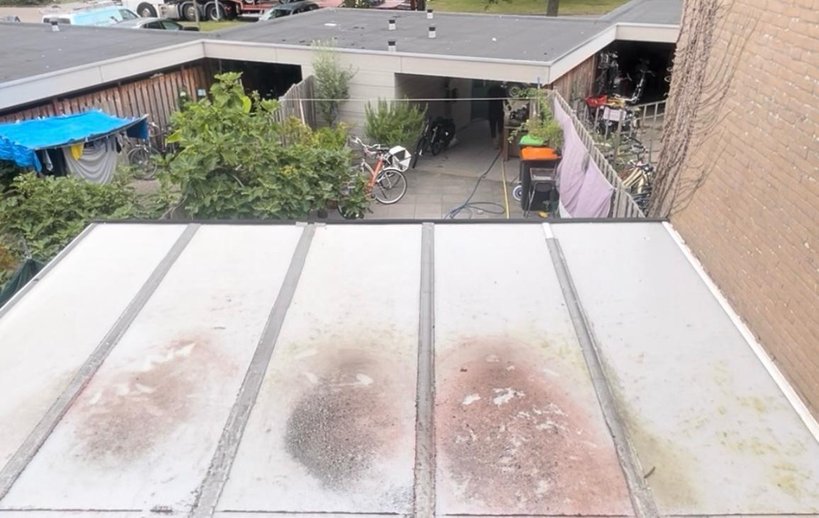 Buitenomgeving reinigen? Spik & Span helpt u graag!