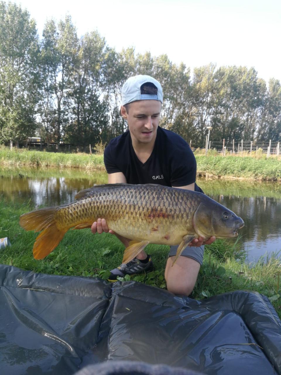 Hengelsport in het karpergebied bij karpervisserij Koudekerke € 17,50