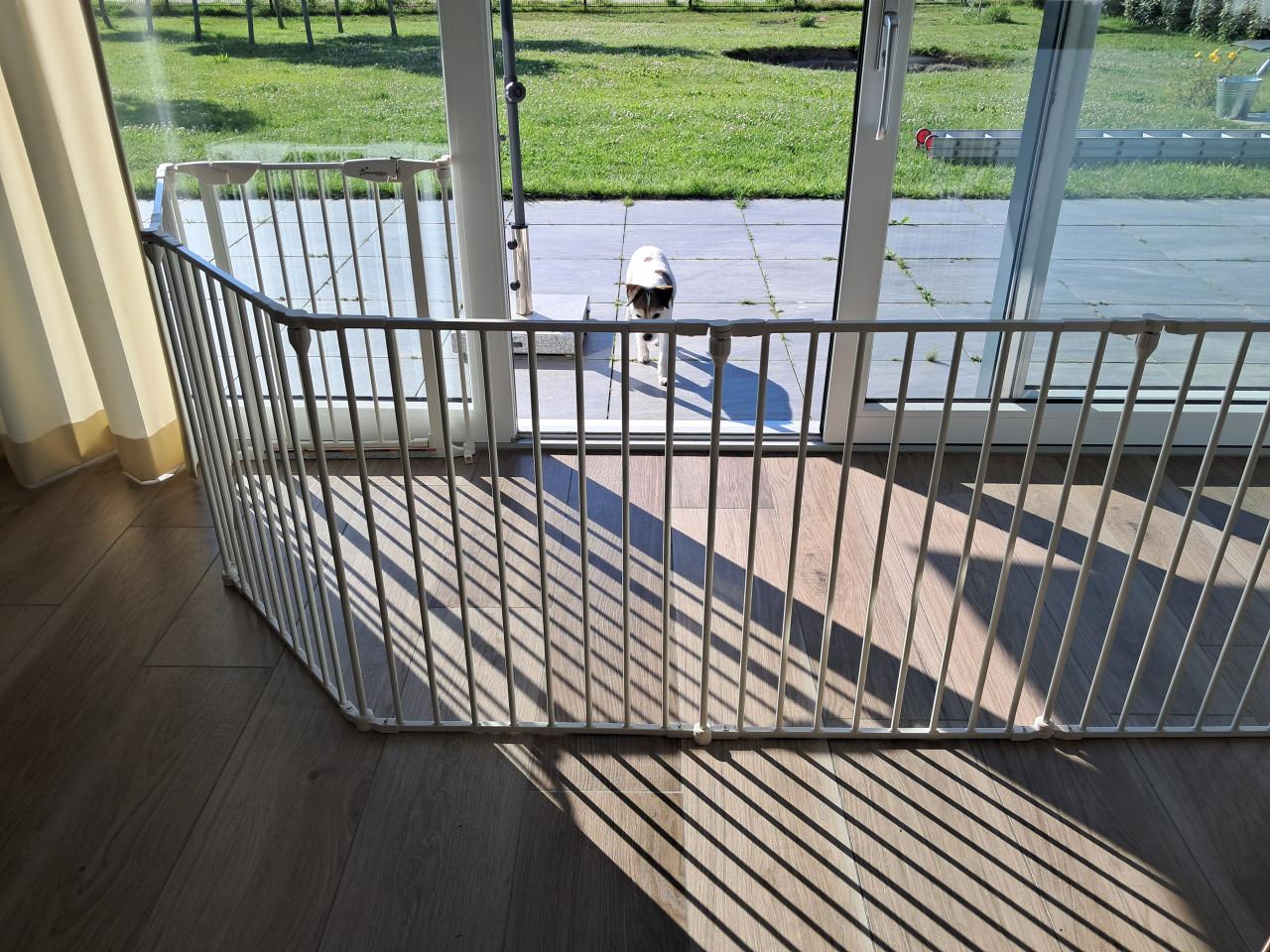 Opvouwbare (reis)box voor baby of pup