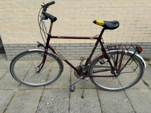 Herenfiets Gazelle Medeo