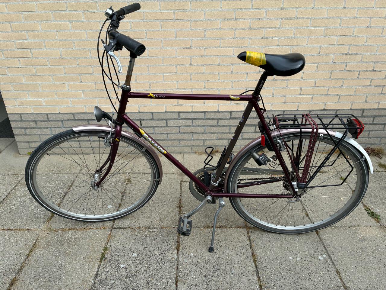 Herenfiets Gazelle Medeo