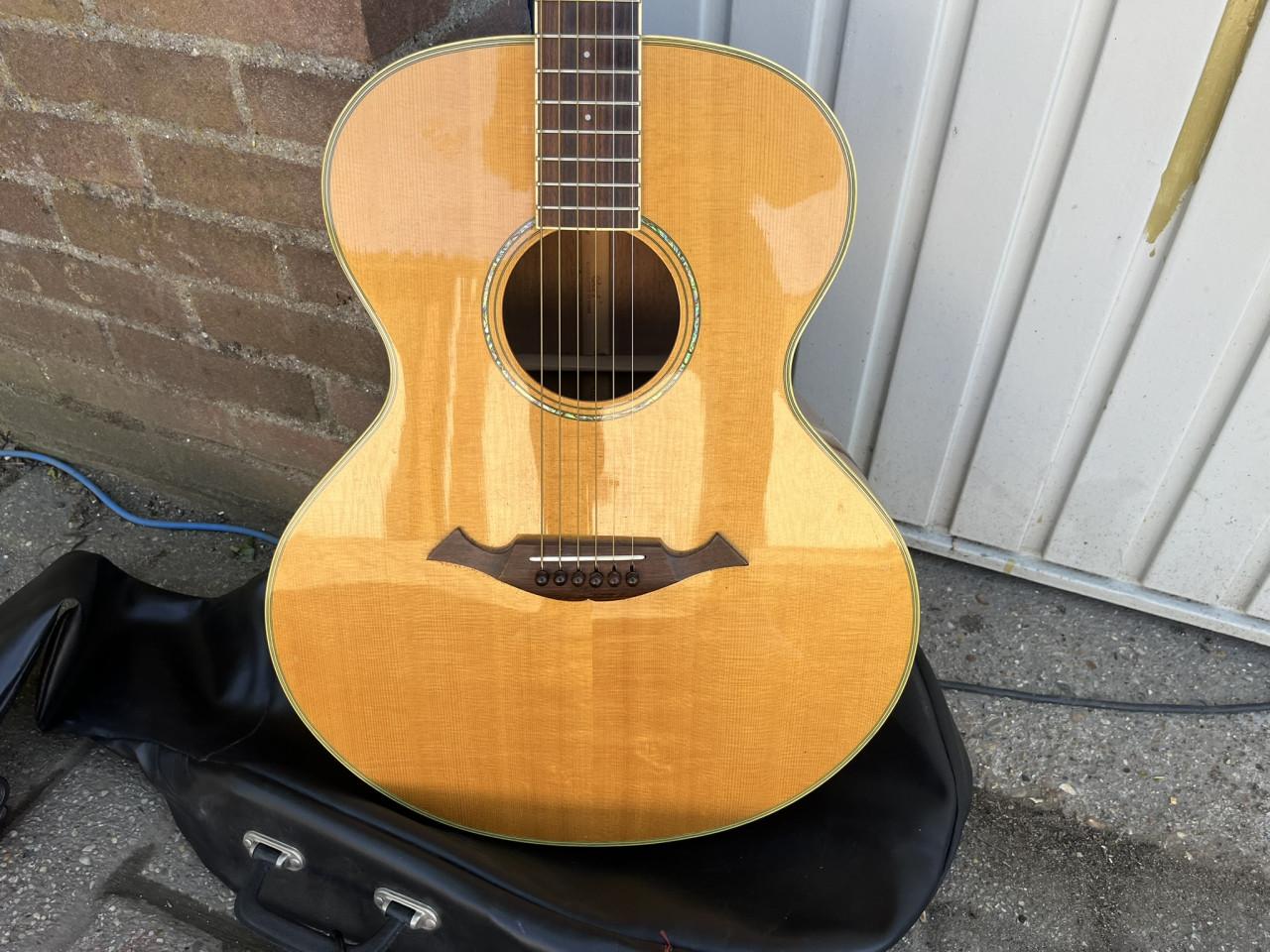 Gitaar Cort NTL 50 met hoes