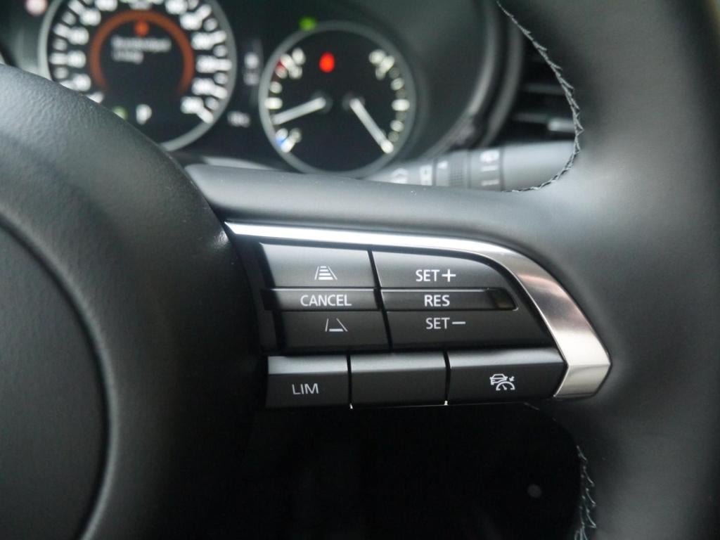 Mazda Cx-30 2.5 e-skyactiv-g m hybrid 140 pk nagisa