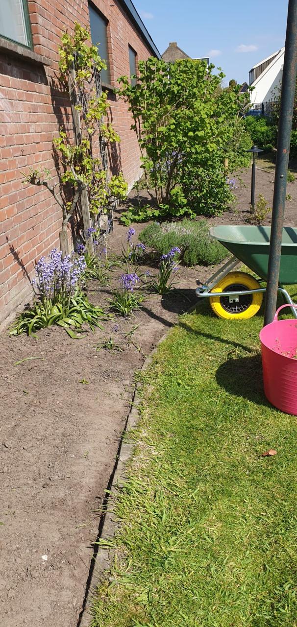 Vakbekwaam hovenier voor tuinonderhoud