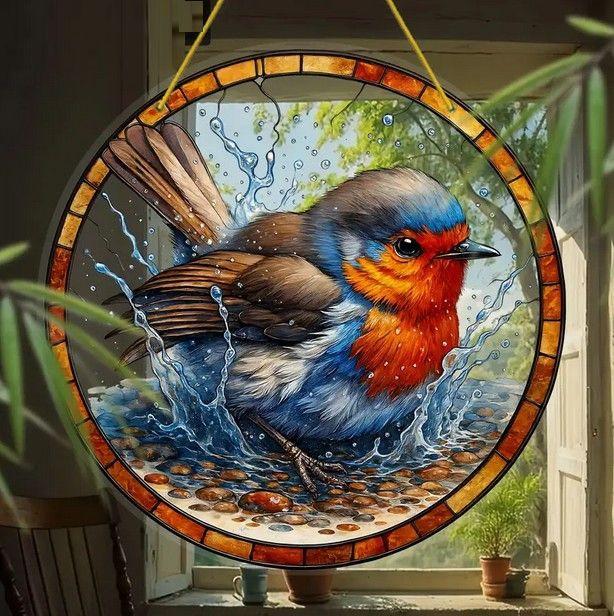 Raamhanger badderende roodborst