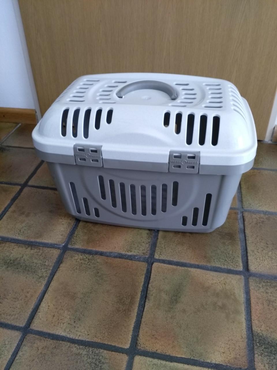 Vervoer mand kat