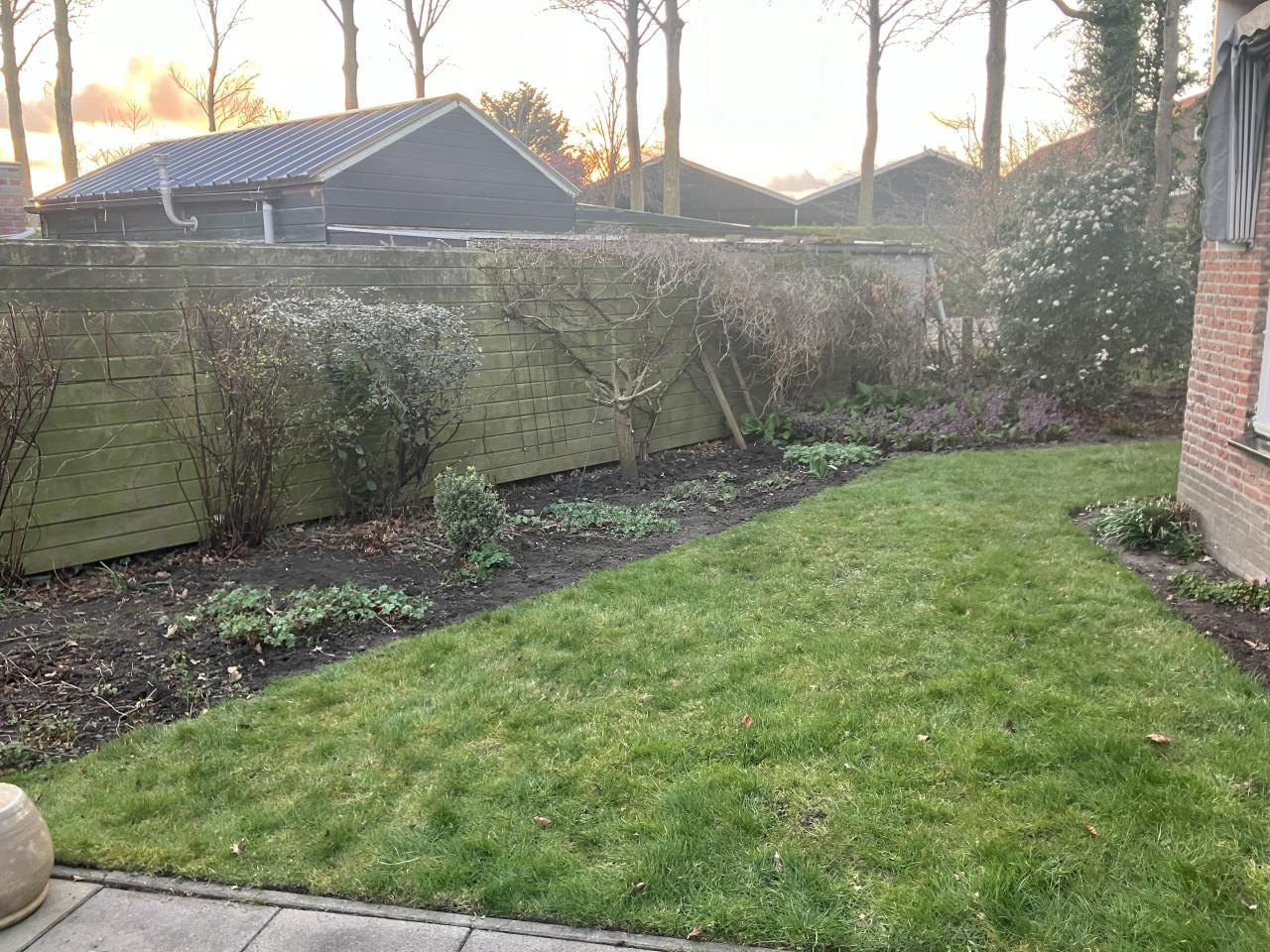 Professioneel Tuinonderhoud Walcheren & Zuid-Beveland | Vaste Prijzen!