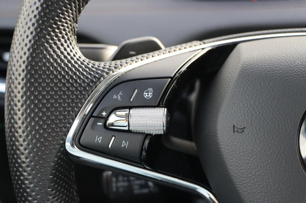 Skoda Enyaq Iv 80 limited edition plus 204pk