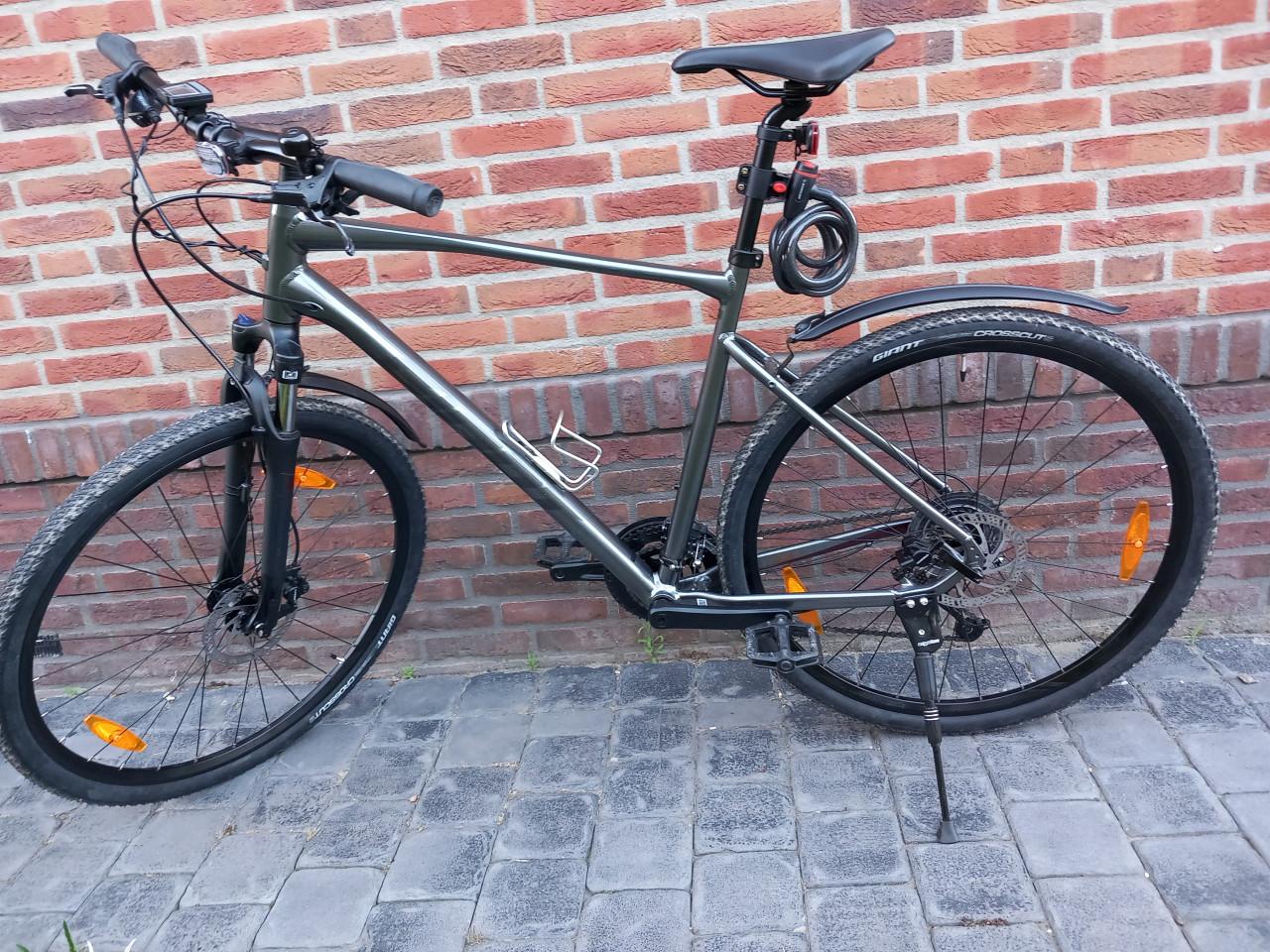 Prachtige mountainbike Giant Roam 2 XL