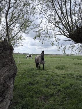 Vakantie met je paard