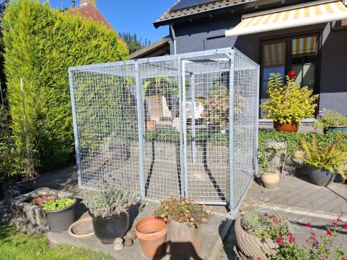 Kattenren