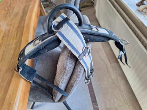 Longeersingel shetlander/kleine pony
