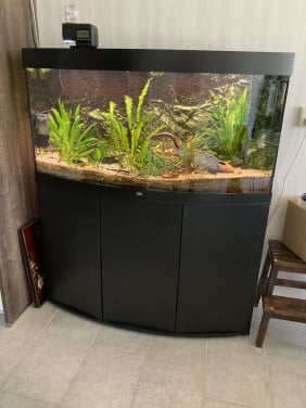 Juwel Vision 260