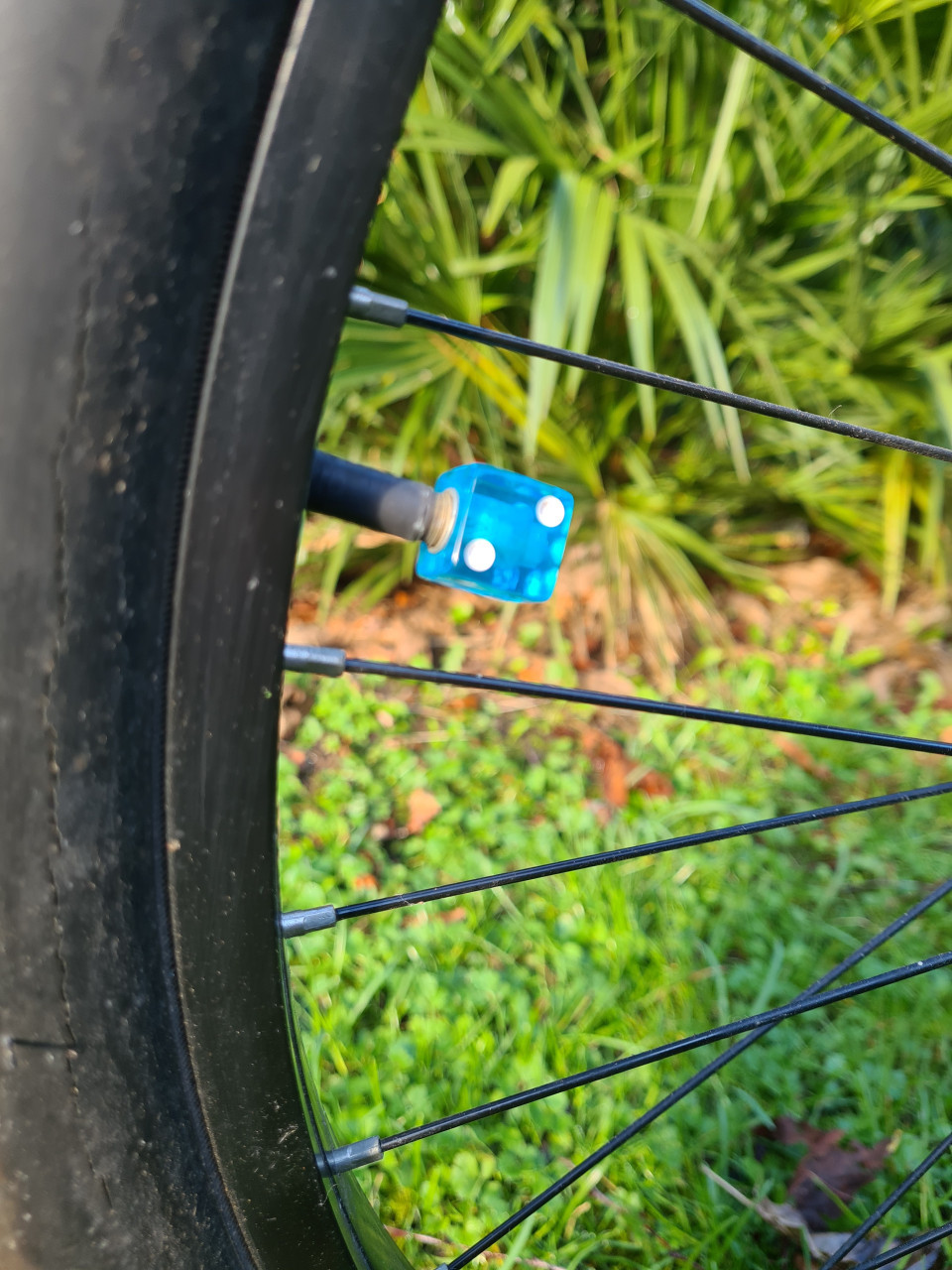 Tiki Beachcruiser, zeer apart.