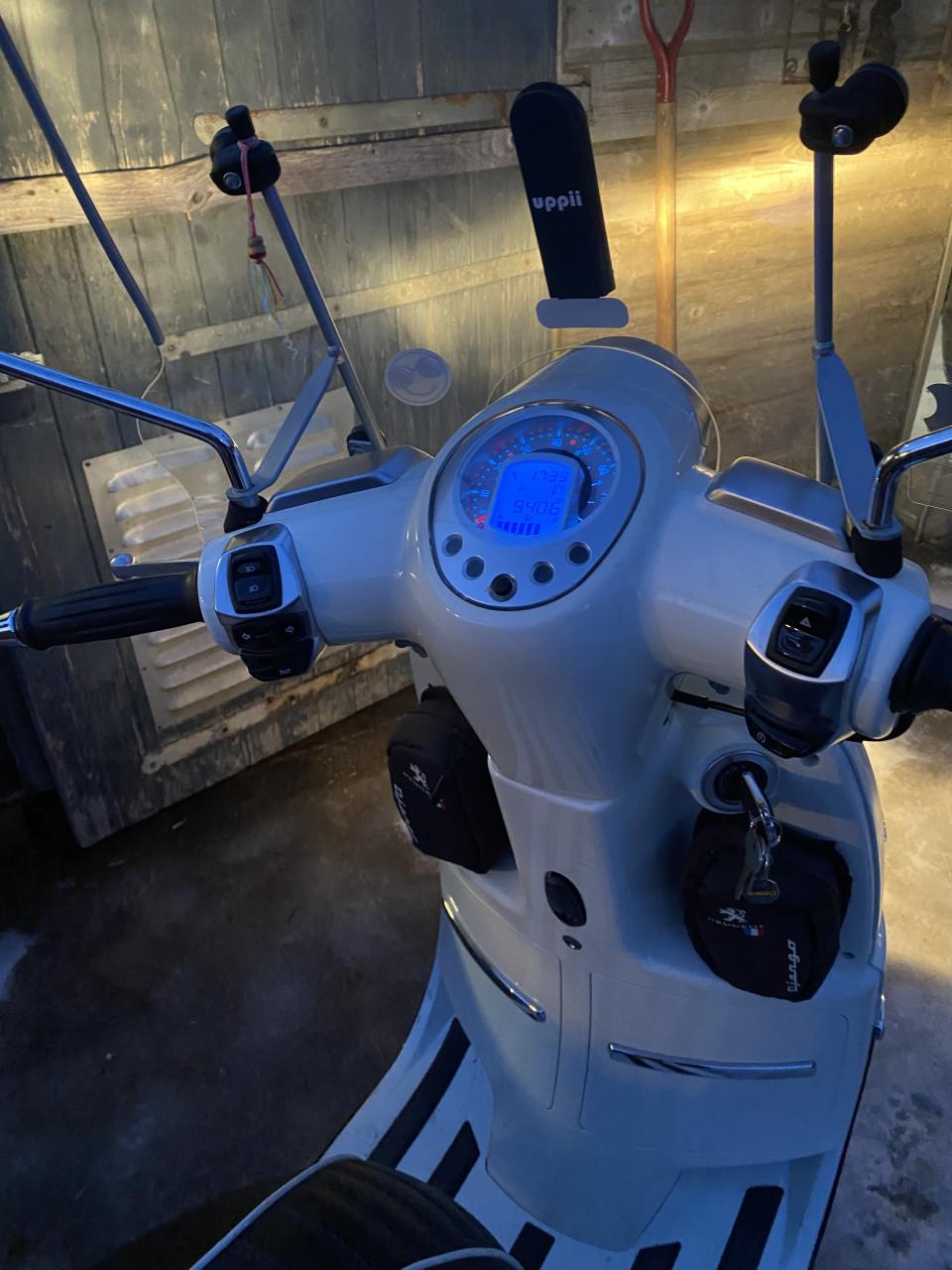 Mooie Peugeot Django