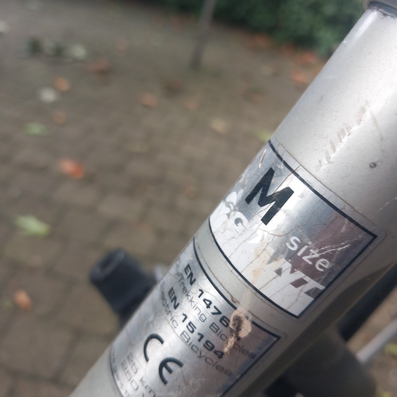 Elektrische damesfiets Giant