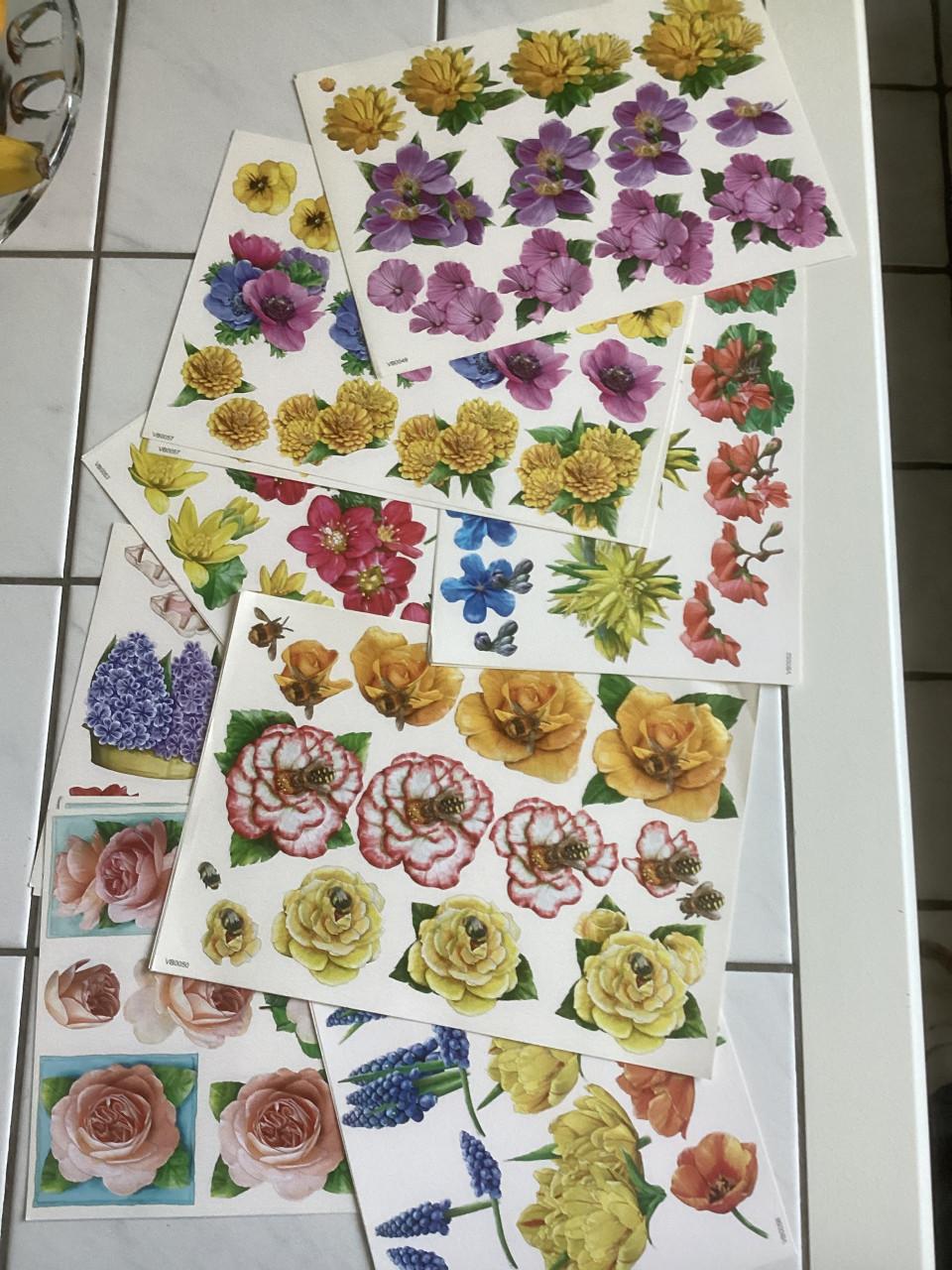24 knipvellen bloemen