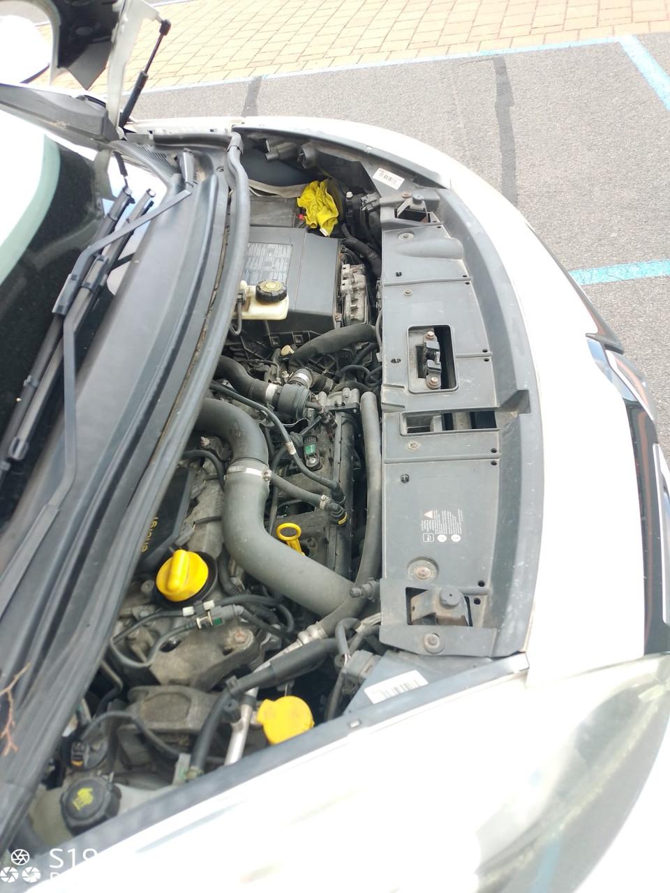 Nette Renault Scenic