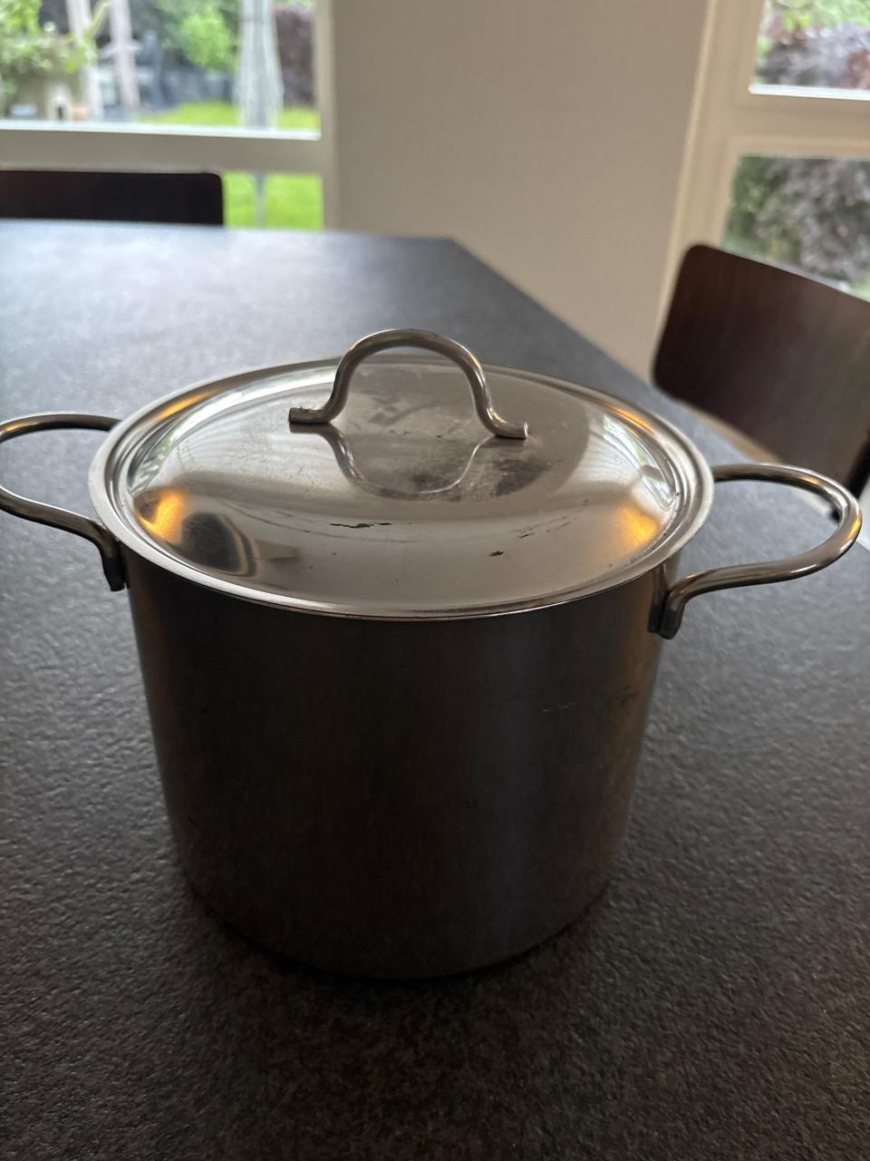 RVS kookpan met delsel