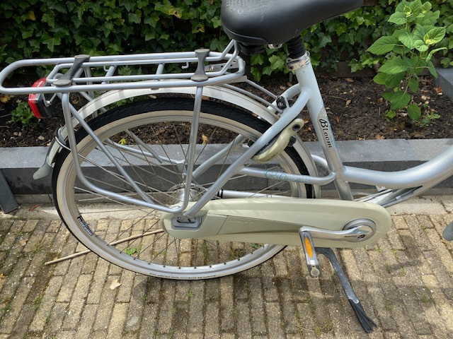 Moederfiets Gazelle Bloom met voorrek