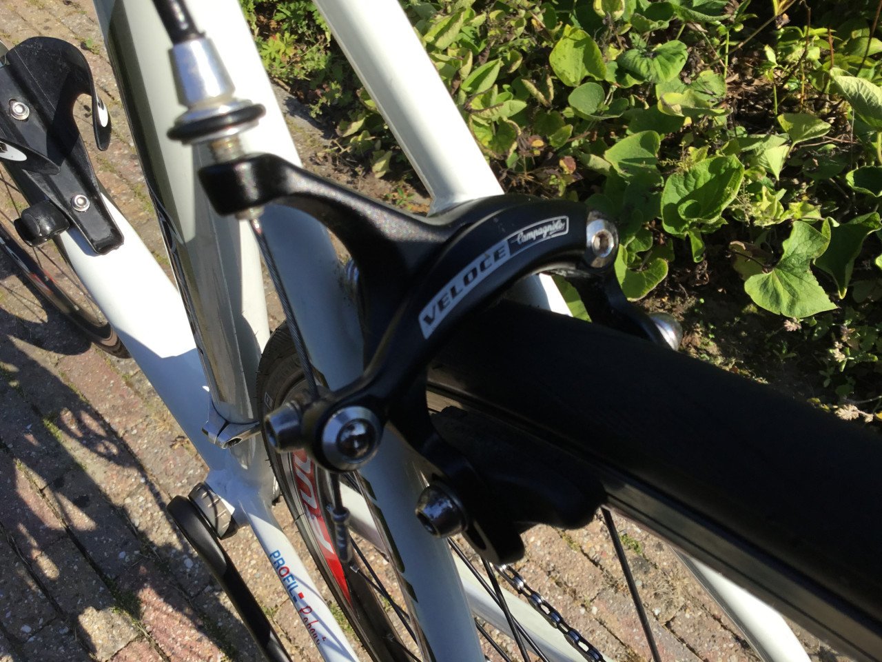 Ridley tritonS