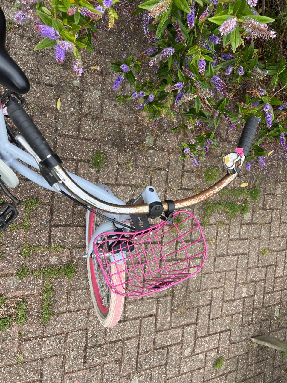 Meisjesfiets 22 inch