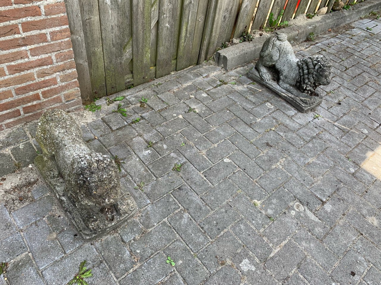 Sierbeeld