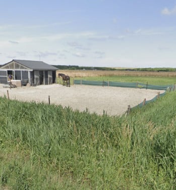 Paardenbox te huur met vrije uitloop zandpaddock Westkapelle