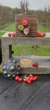 Appelsap van eigen teelt appels