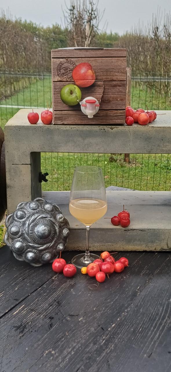 Appelsap van eigen teelt appels