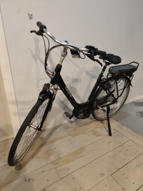 Gazelle Orange