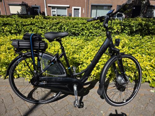 Schitterende Giant elektrische fiets