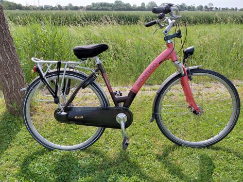Montego 28 inch 49cm frame 3 speed